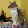 Отзыв от Катюша Сальникова